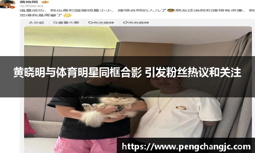 乐盈VI官网