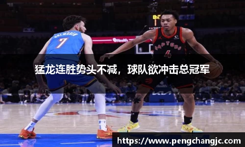 乐盈VI首页