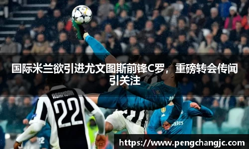 乐盈VI