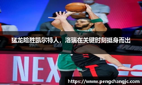 乐盈VI官网登录入口