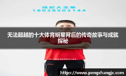 乐盈VI