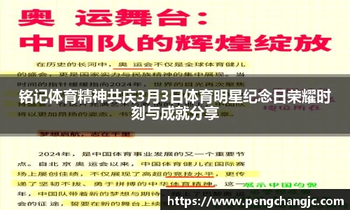 乐盈VI首页