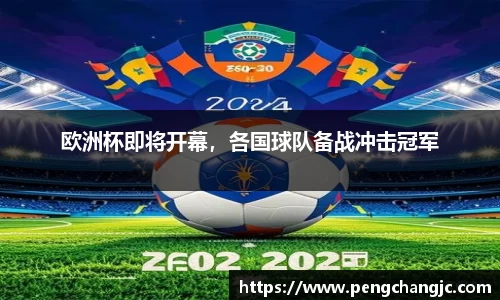 乐盈VI官网登录入口