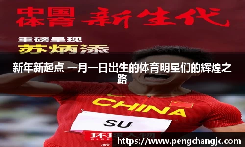 乐盈VI官网