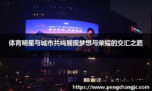 乐盈VI