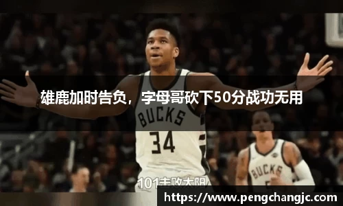 乐盈VI官网