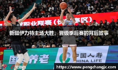 乐盈VI官网