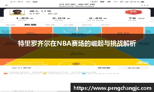 乐盈VI官网
