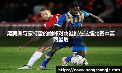乐盈VI官网