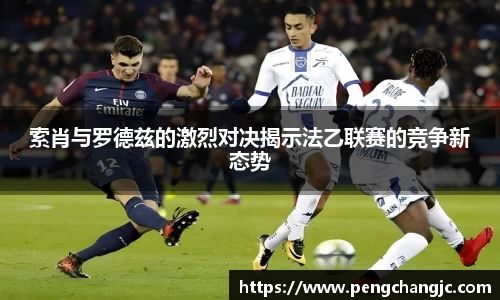 乐盈VI官网