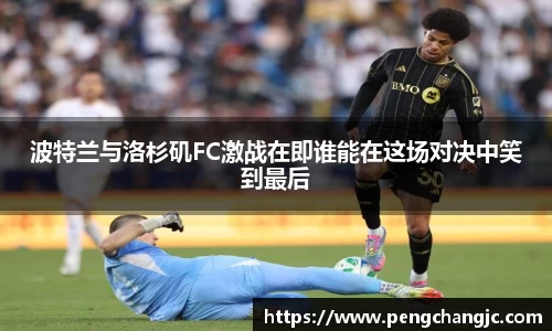 乐盈VI官网登录入口