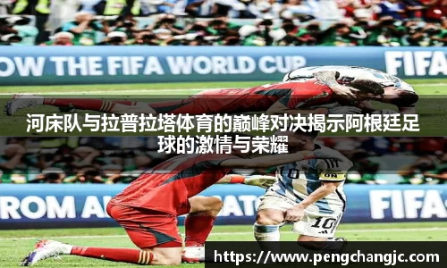 乐盈VI官网