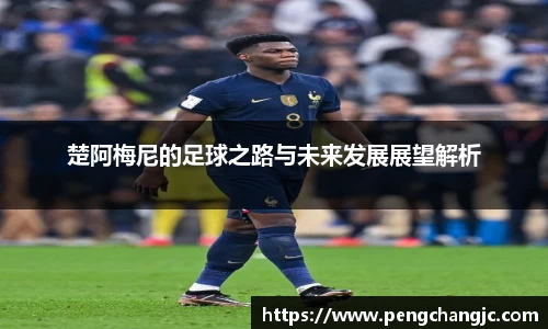乐盈VI官网